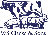 Clarkes the Butcher