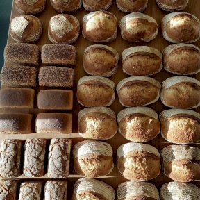 Clarkes Sixpenny Handley Suppliers - Orchard Bay Bakery